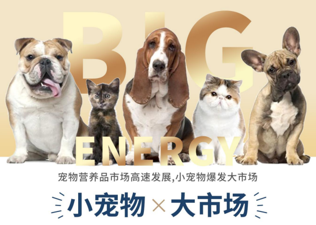 89c1107ac3d86899e62fab20297e92ee.png